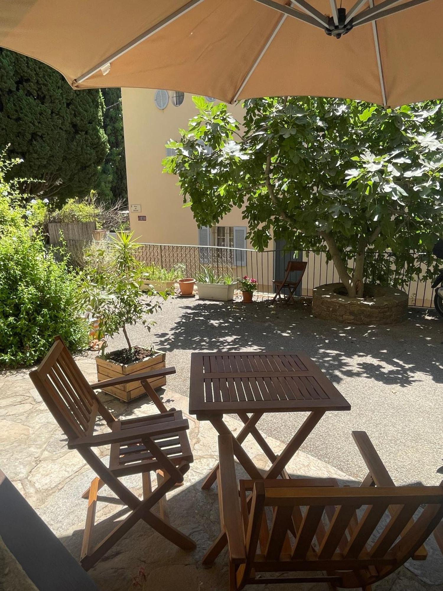 Cosy Studio - Place Du Figuier Bormes-les-Mimosas Exteriör bild